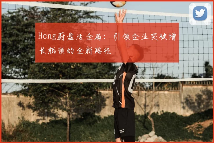 Heng蔚盘活全局：引领企业突破增长瓶颈的全新路径