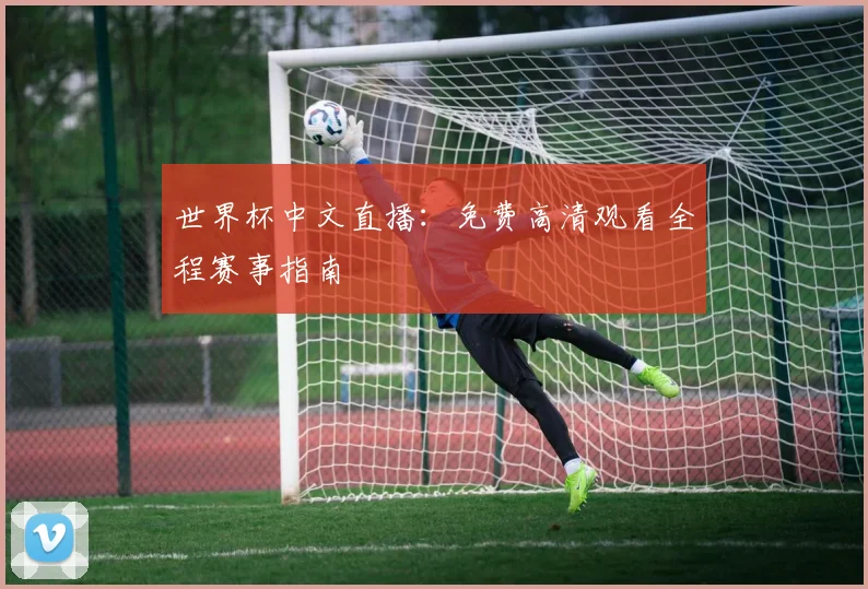 世界杯中文直播:免费高清观看全程赛事指南