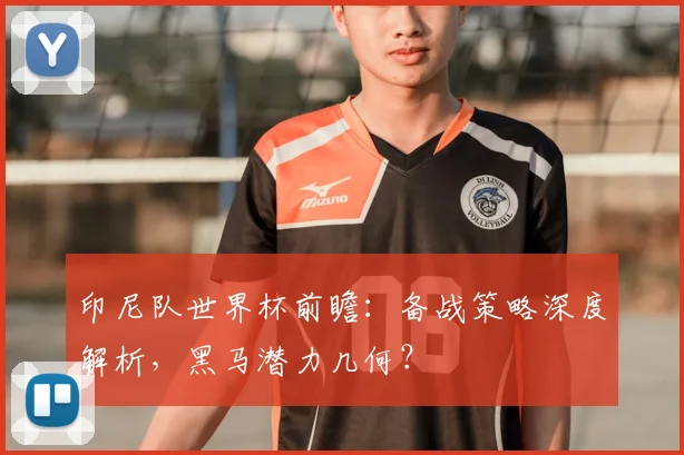 印尼队世界杯前瞻：备战策略深度解析，黑马潜力几何？